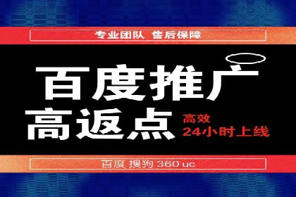 探索SEM推广代运营的奥秘：成功背后的故事